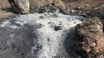 Fiscalía de CDMX investiga el descubrimiento de fosas clandestinas y “crematorio” 