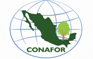 Conafor