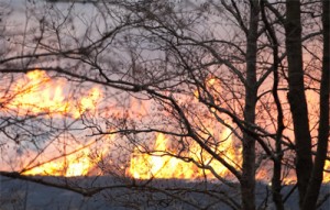 incendios forestales en Durango