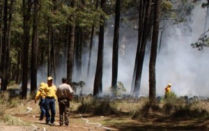 Incendios forestales en Tlaxcala