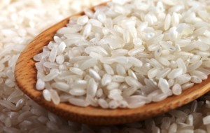 Productores de arroz