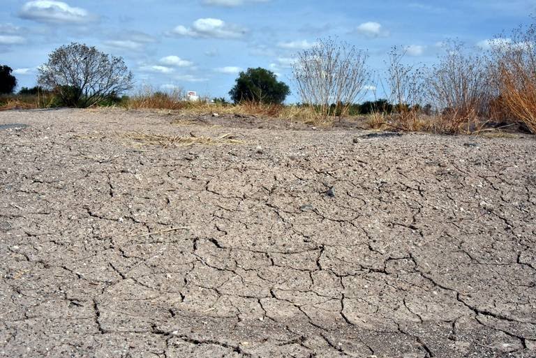 Incrementa sequía en Tlaxcala, afectada la mayoría del territorio