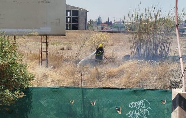 Sofocan incendio pastizales SACH 2