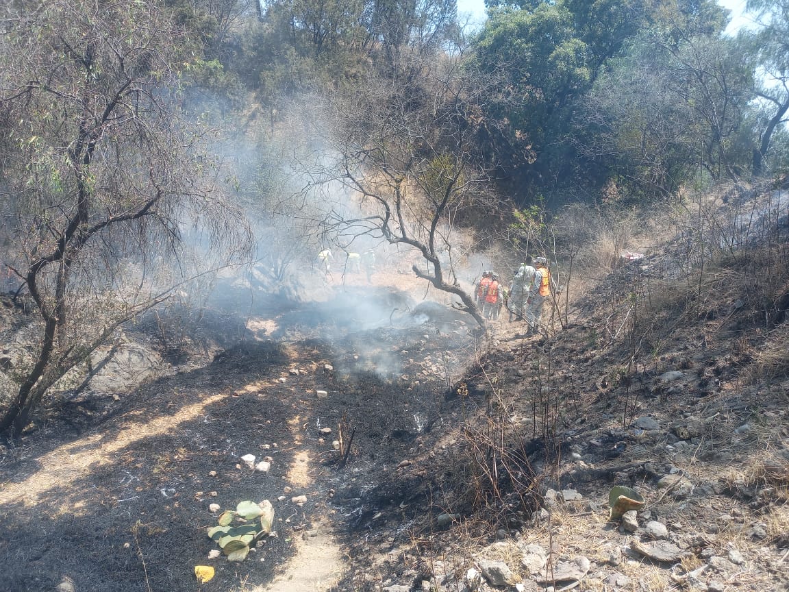 Incendio forestal inquieta, a vecinos en Santiago Xochimilco, Ixtacuixtla
