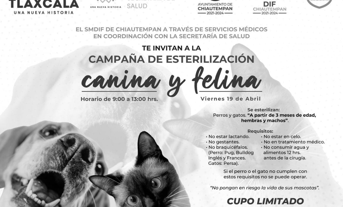 Realizarán campaña de esterilización en Chiautempan