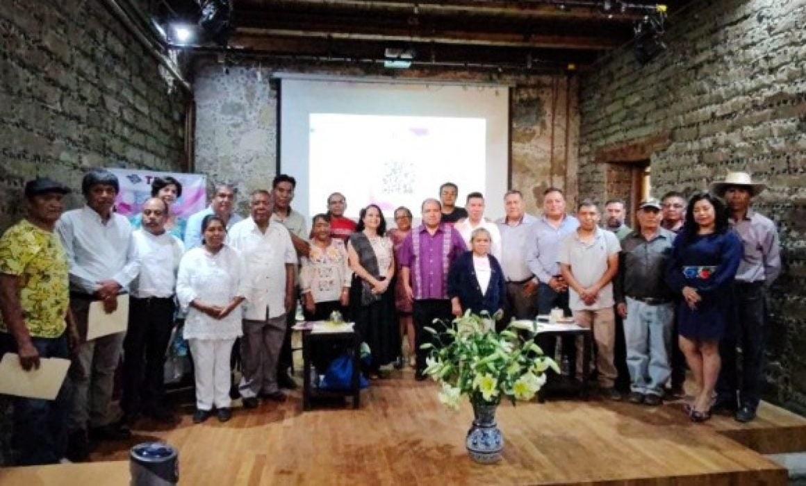 Hay criterios y protocolos para atención de comunidades indígenas: TET