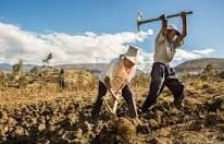 Tonantzin Fernández de la coalición "Sigamos Haciendo Historia" signa acuerdos para el desarrollo agrícola en San Pedro Cholula