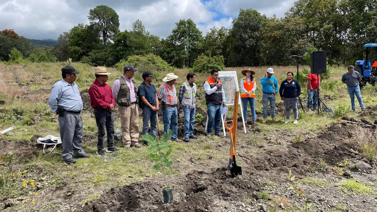 Reforestación Atlixco