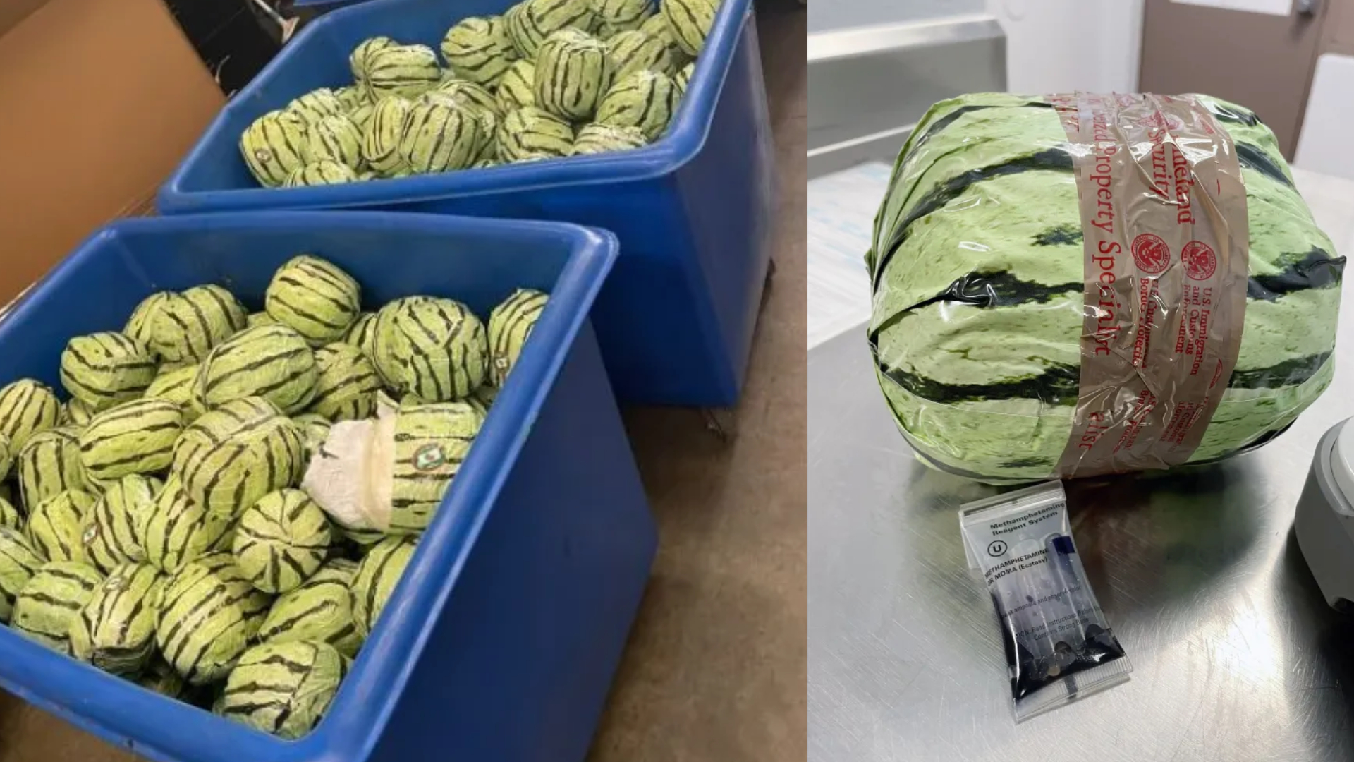 CBP incauta más de 5 millones de dólares en metanfetamina oculta en envío de sandías 