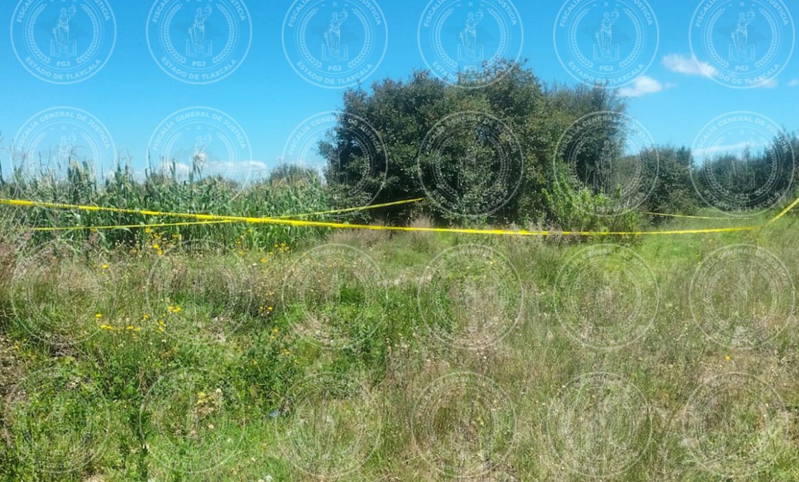 Localizan 3 cuerpos sin vida en San Pablo del Monte