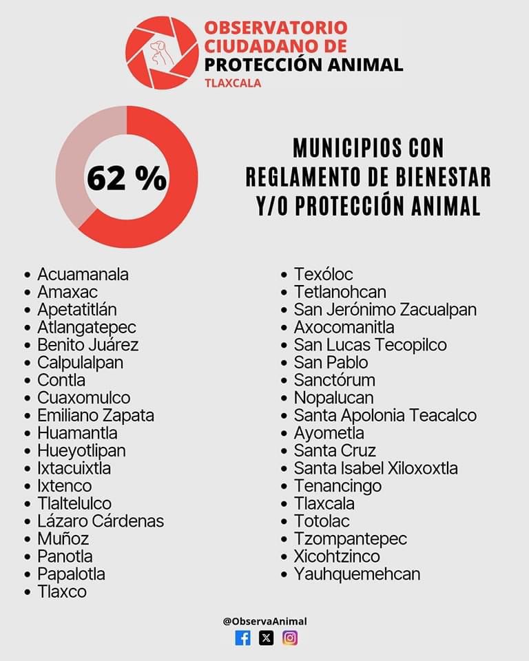 El 62% de los municipios de Tlaxcala cuentan con reglamento de protección animal