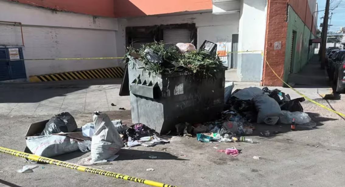 Feto, basura, Abandonado