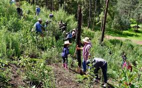 Crean 3,117 Comités de Cambio Climático en escuelas de Tlaxcala