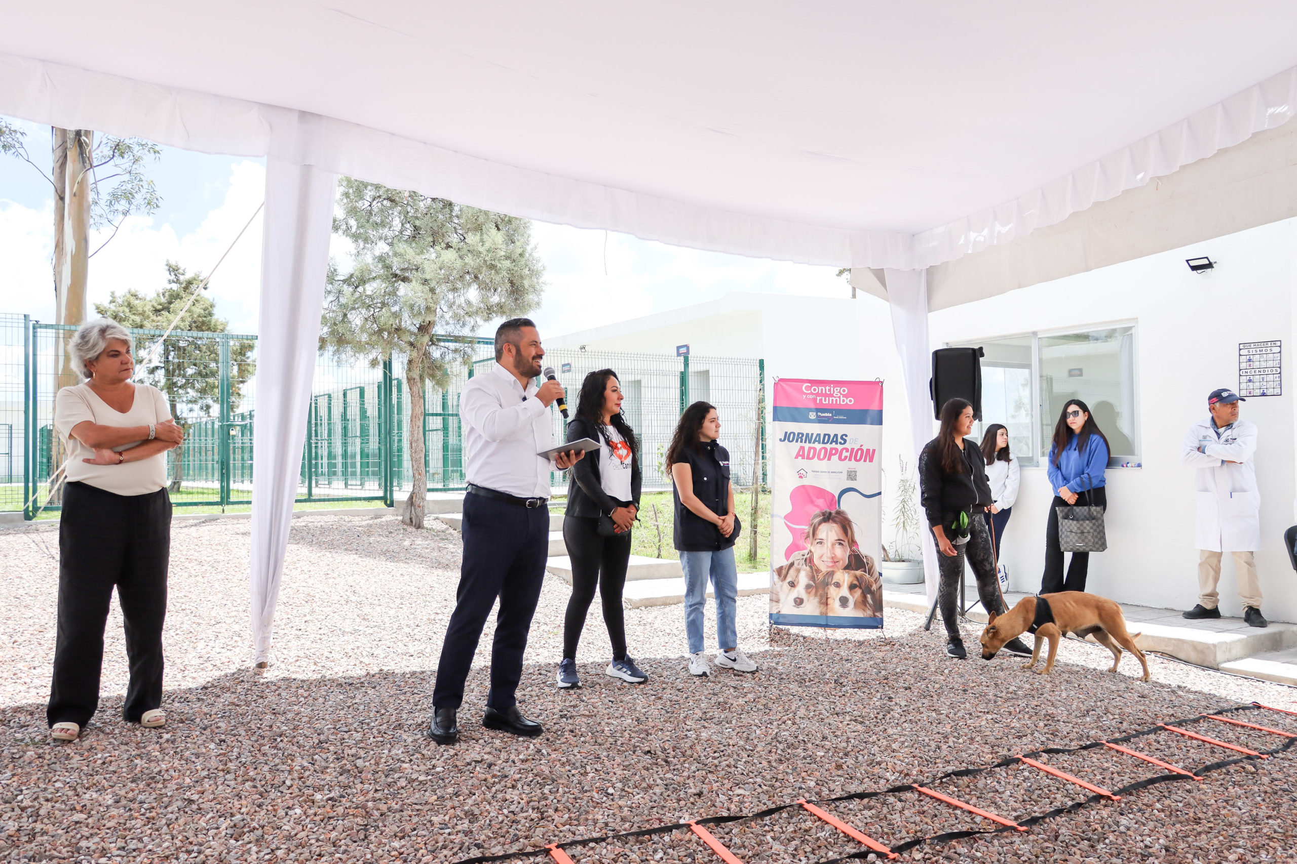 Inicia semana del Bienestar Animal en Puebla: Servicios Gratuitos para Mascotas del 5 al 9 de Agosto