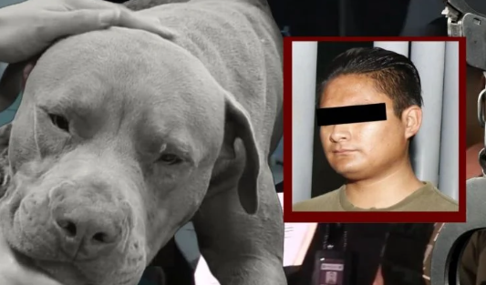 Detienen a Cristian E.T.N. agresor de “Jefazo”