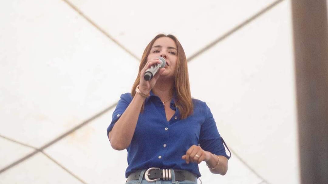 Niega presidenta del PAN irregularidades detectadas por el INE
