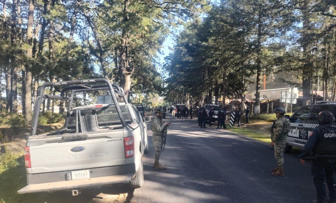 SSC enfrenta agresión en La Malinche: Detienen a talador con motosierra