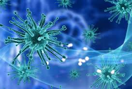 Claudia Sheinbaum anuncia control de alerta epidemiológica por Klebsiella oxytoca