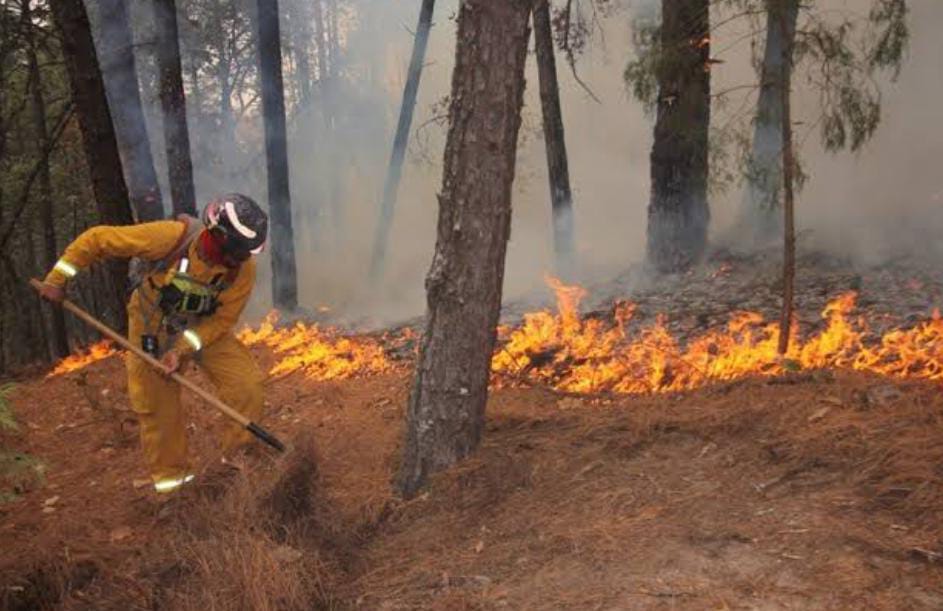 Tlaxcala logra reducir incendios forestales en noviembre de 2024, reportando baja siniestralidad