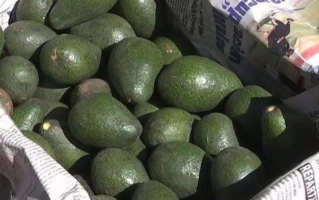 Reportó Tlaxcala aumento en producción de productos agroalimentarios