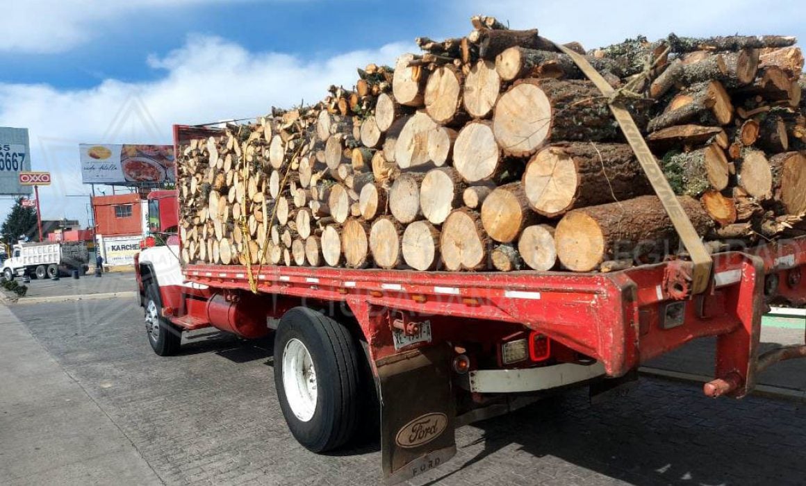 Detienen una persona que transportaba madera sin permiso en Apizaco