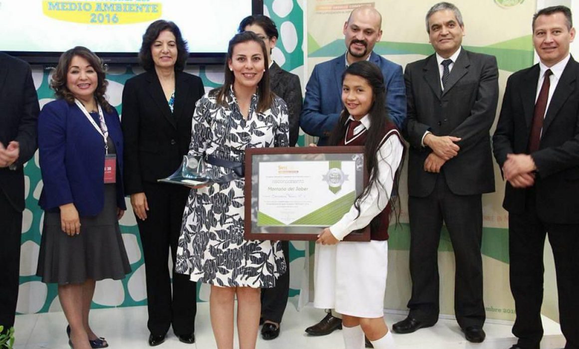 Compromiso, pasión y amor por la docencia características de Diana Isis