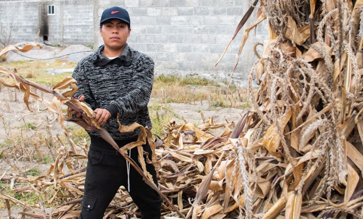 Invita Huamantla a productores agrícolas al programa de apoyo al sector