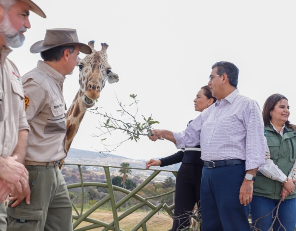 En cuestión de días poblanos podrían conocer a Benito