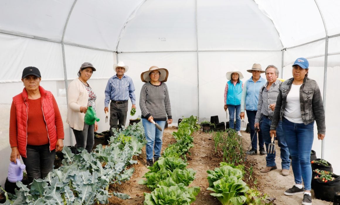 Con vivero comunitario mejora la alimentación y economía en Atlangatepec