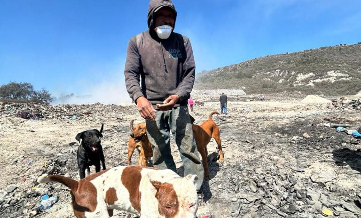 Sansón contribuye en las tareas del cuidado del relleno sanitario