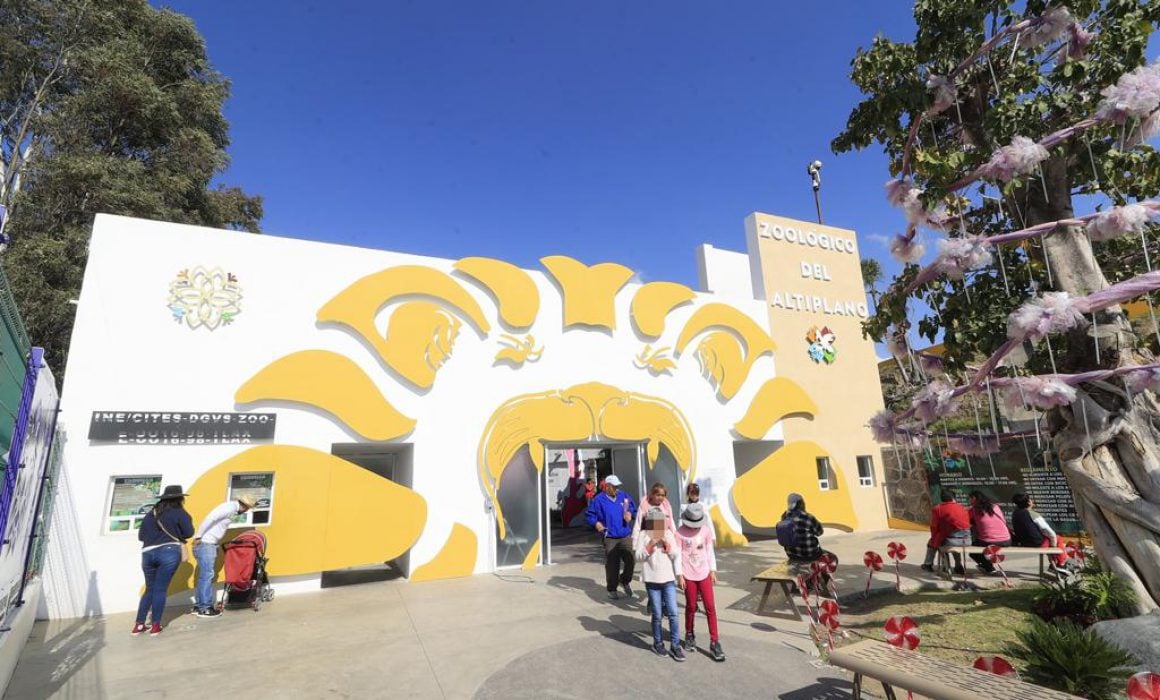 Desarrolla el zoológico del Altiplano programa Animales Embajadores