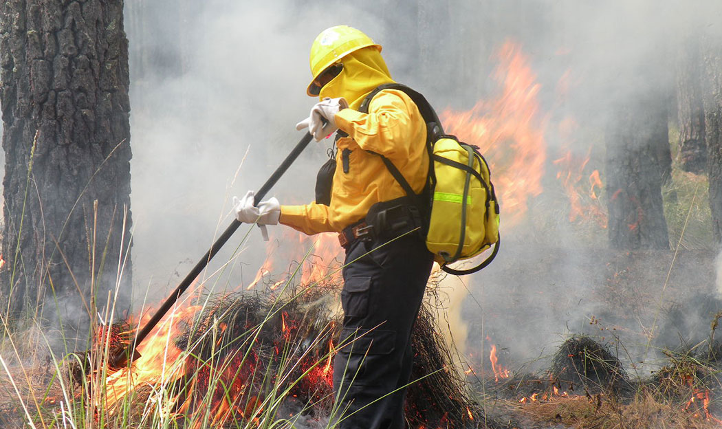 CONAFOR Reporta que Casi la Mitad de Incendios Forestales en Tlaxcala Fueron Intencionales