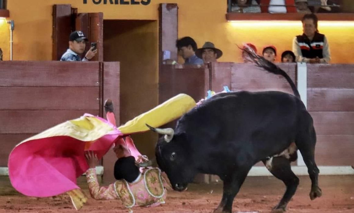 Grave tras cornada: Matador José Alberto Ortega lucha por su vida