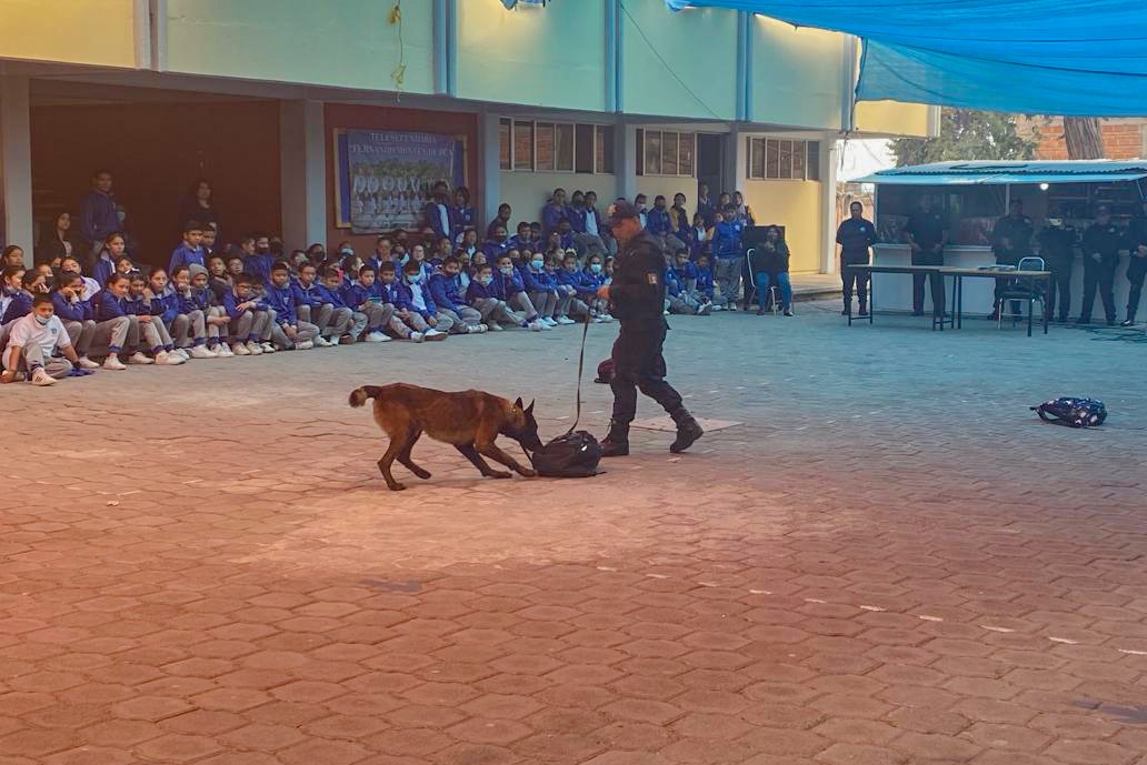 Atiende a 500 estudiantes policía de Huamantla con ciclo de pláticas y demostraciones   
