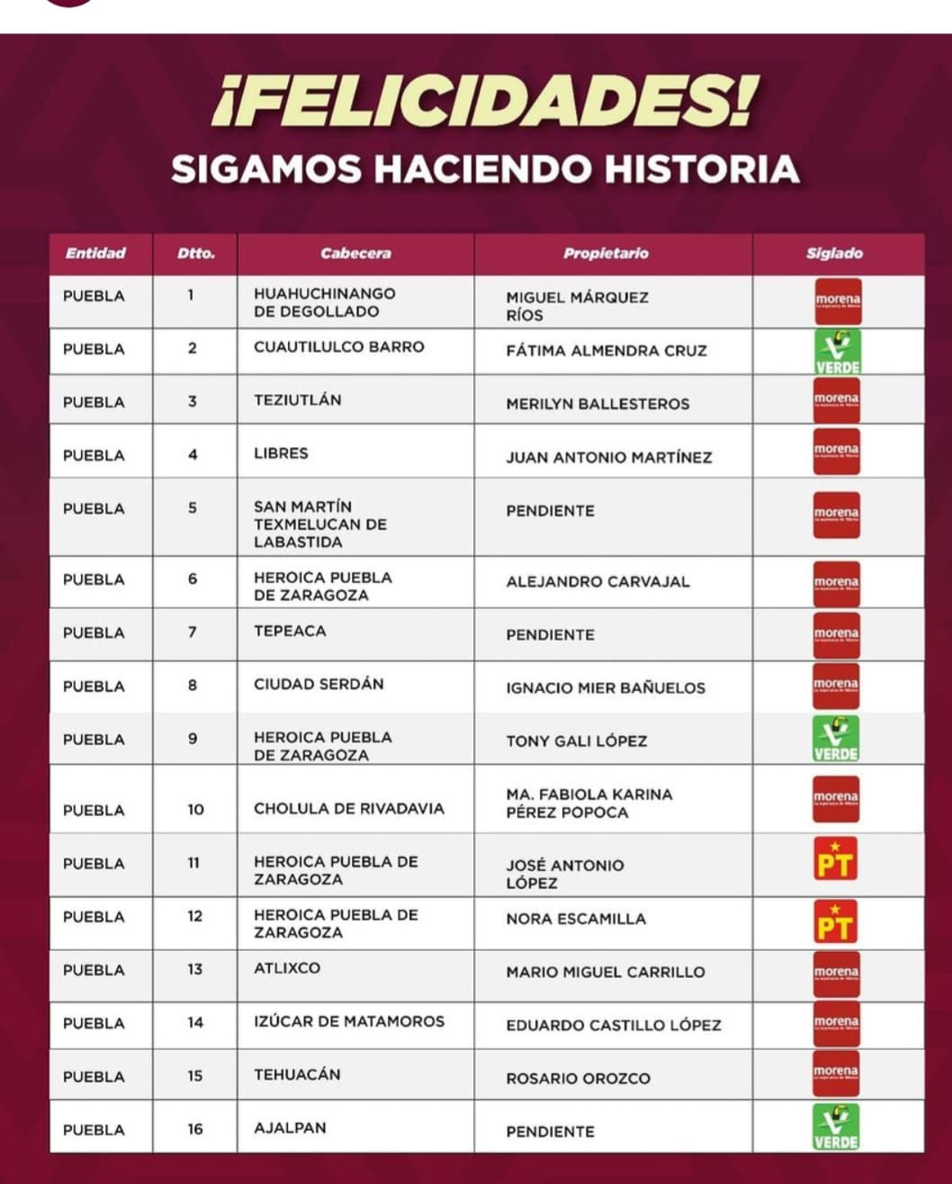 Mario Delgado diputaciones federales 2