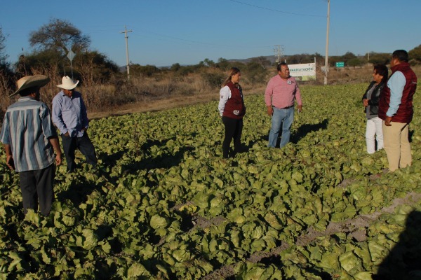 Gobierno destina 45 mdp para indemnizar daños al campo 