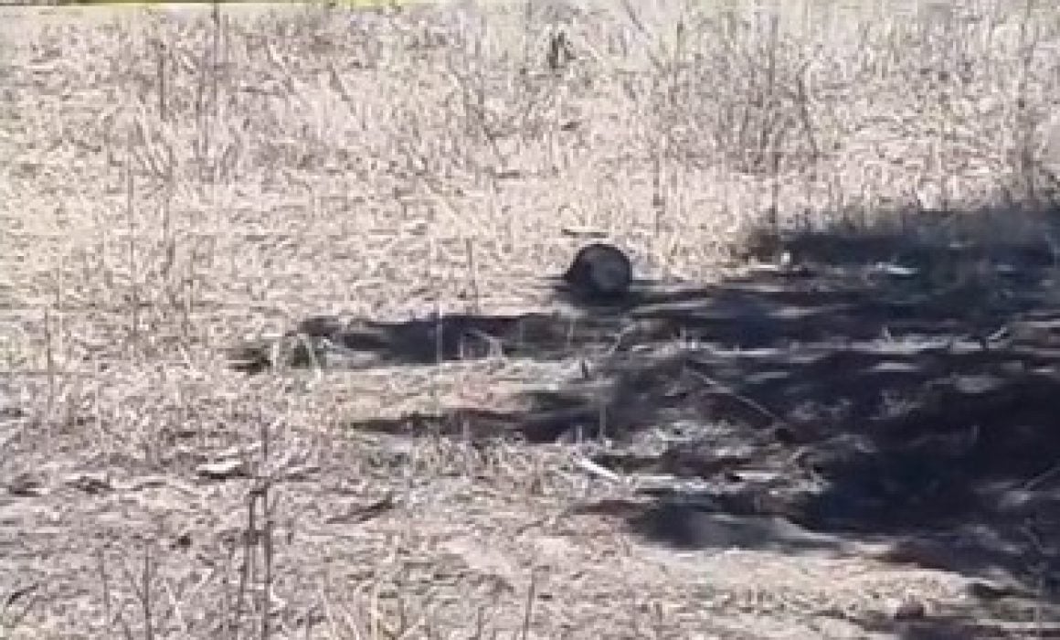 Localizan presunto cráneo humano en terrenos de labor de Ixtacuixtla