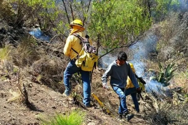 Logran control al 100% incendio en Ixtacamaxtitlán