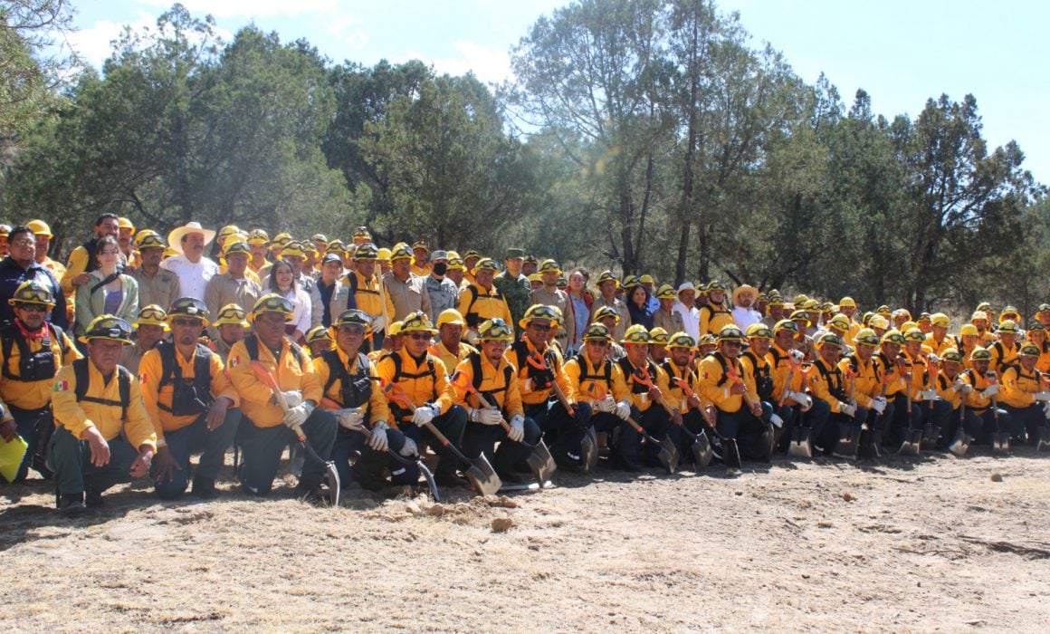 Operará Sistema de Comando de Incidentes para proteger bosques