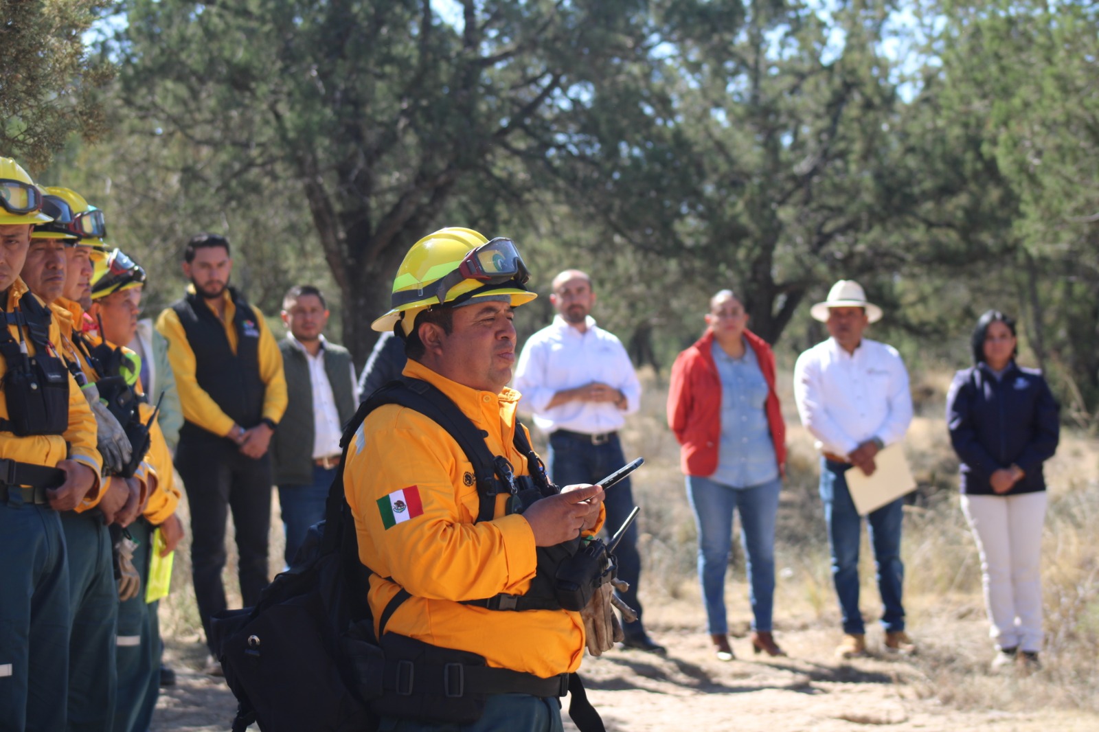 Operará sistema de comando de incidentes para proteger los bosques