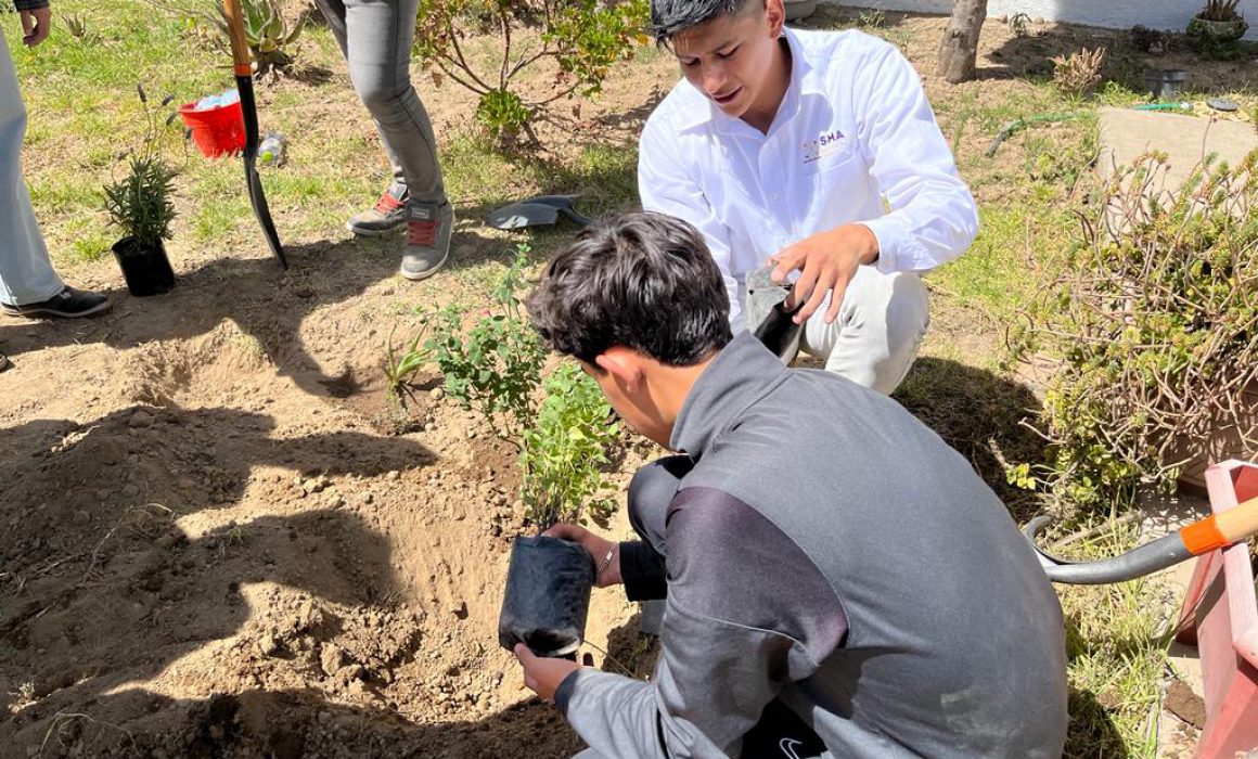 Convoca la SMA al proyecto Polinizando vida 2024