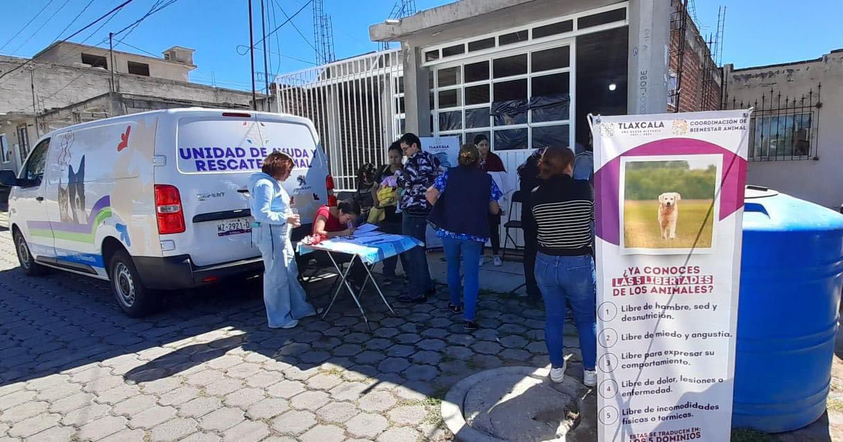 Ayuntamientos deben asumir su responsabilidad sobre perros en situación de calle: CBA