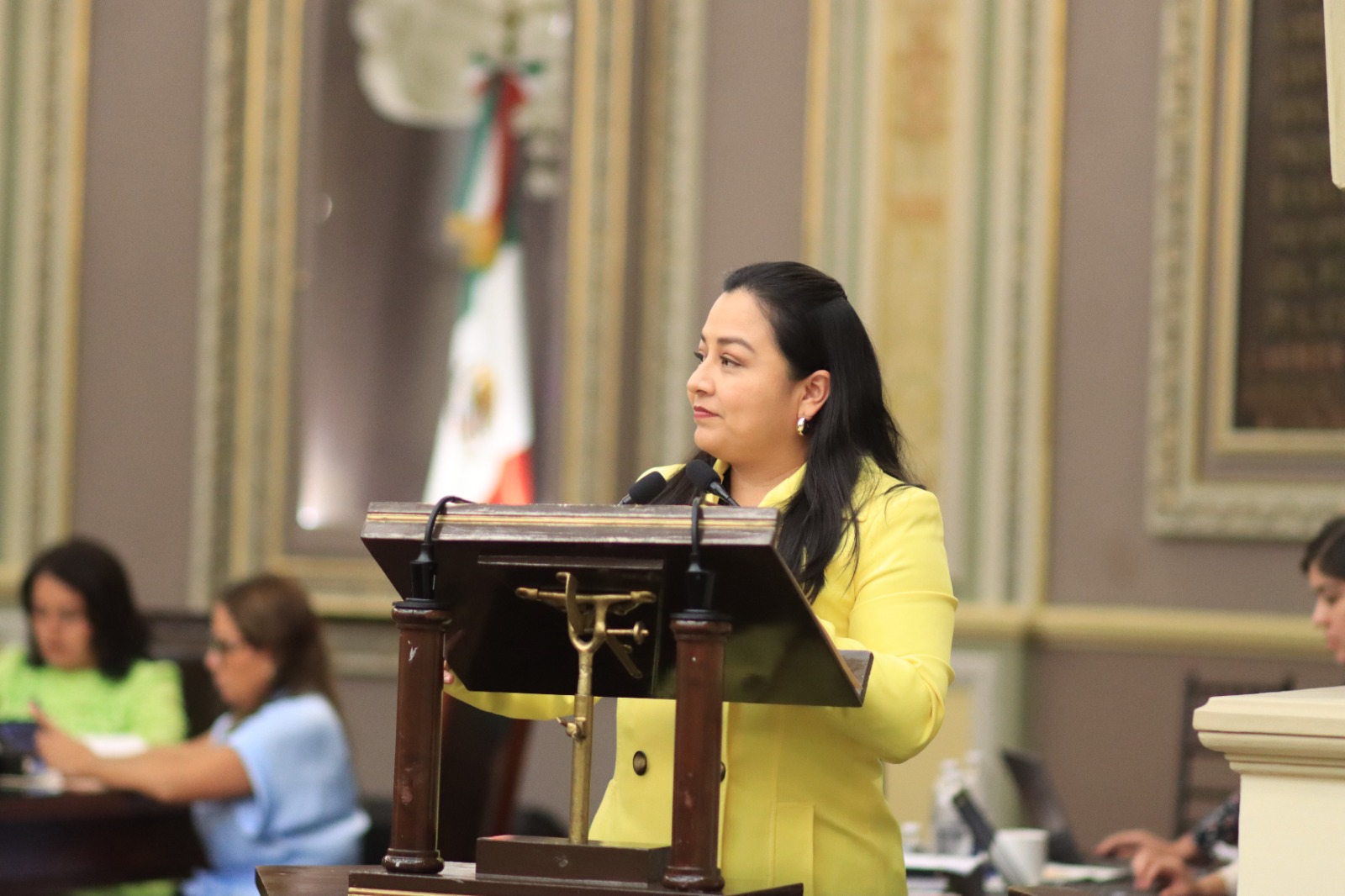 Presenta Lizette Minto iniciativa para proteger derechos humanos en centros de rehabilitación