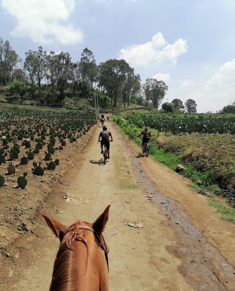 Fortalece San Pedro Cholula recorridos de vigilancia en el cerro Zapotecas