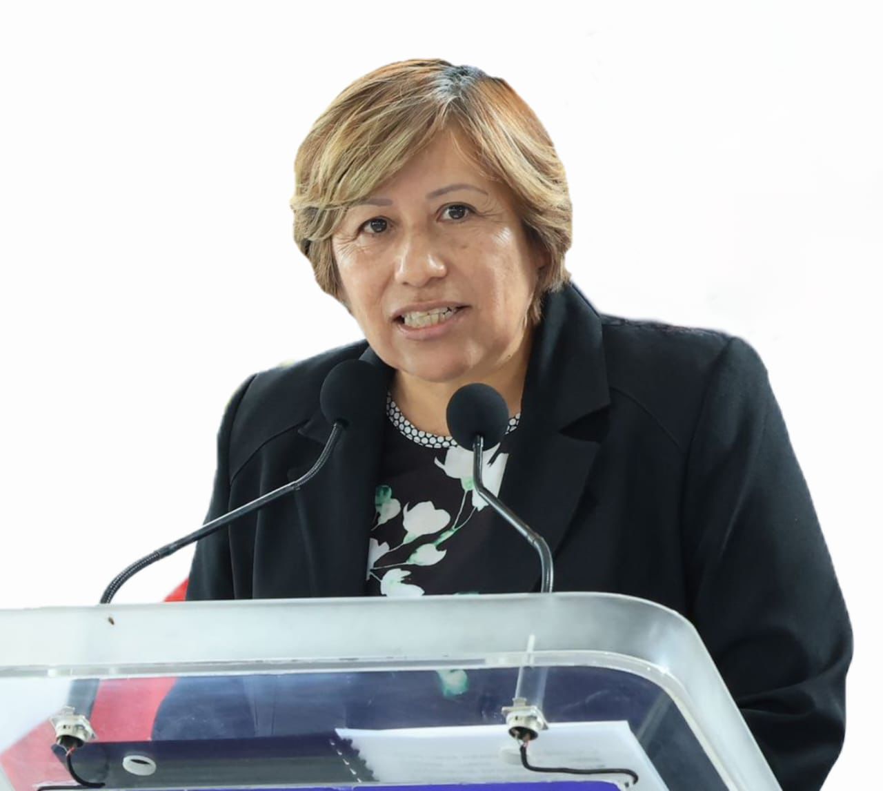 Todo está acomodado para que Ernestina Carro sea la titular de la FGJE