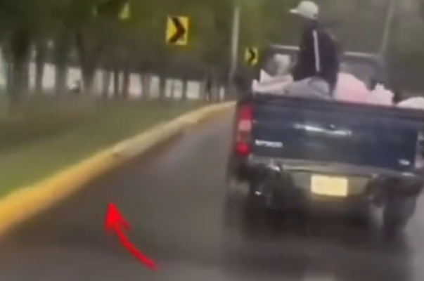 Sujeto lanza a gatitos desde un vehículo en movimiento