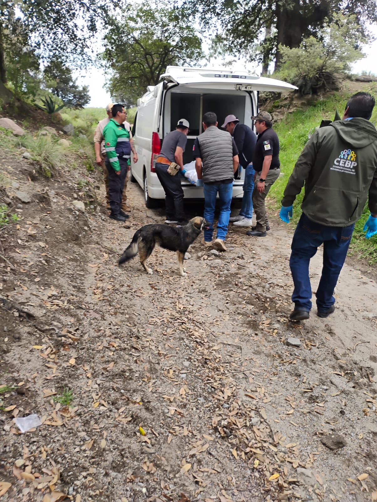Dentro de barranca localizan a hombre que estaba desaparecido
