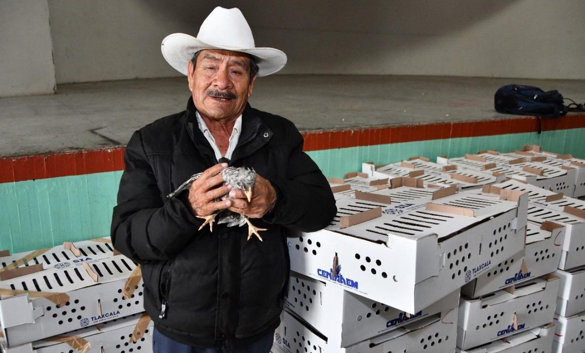 Se fortalece la economía y alimentación en Huamantla