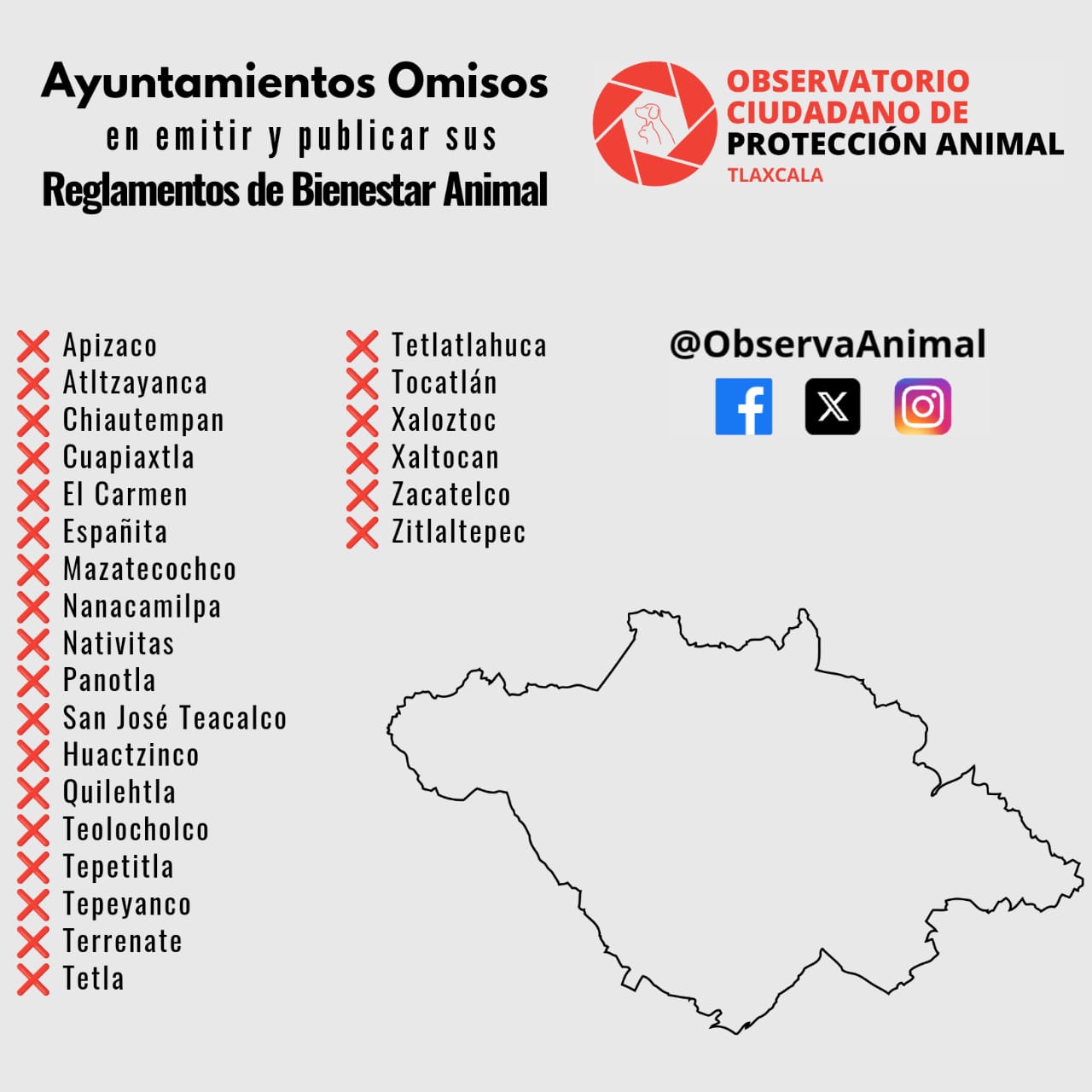 Se van sin cumplir: 24 ayuntamientos culminan con omisiones a la Ley de Bienestar Animal