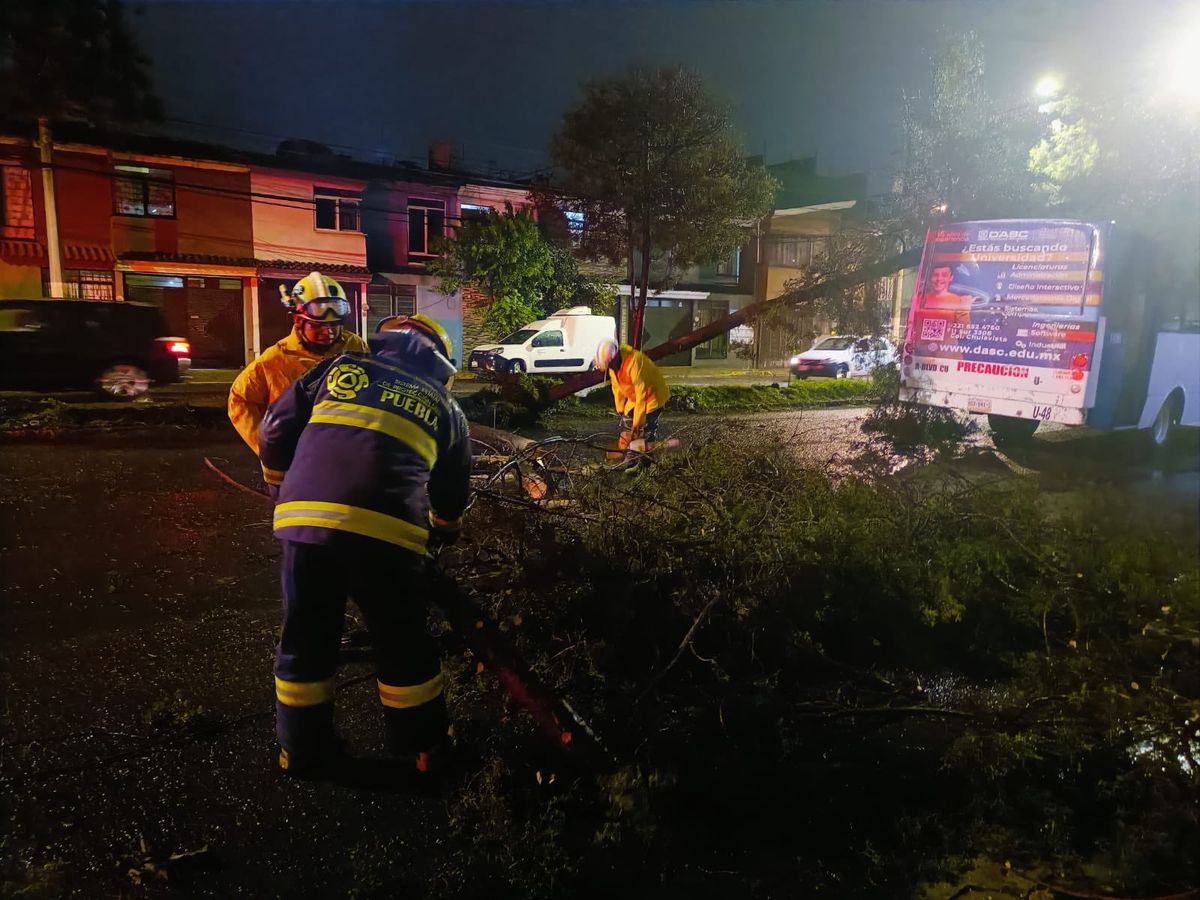Lamenta alcalde de Puebla fallecimiento por caída de árbol durante tormenta